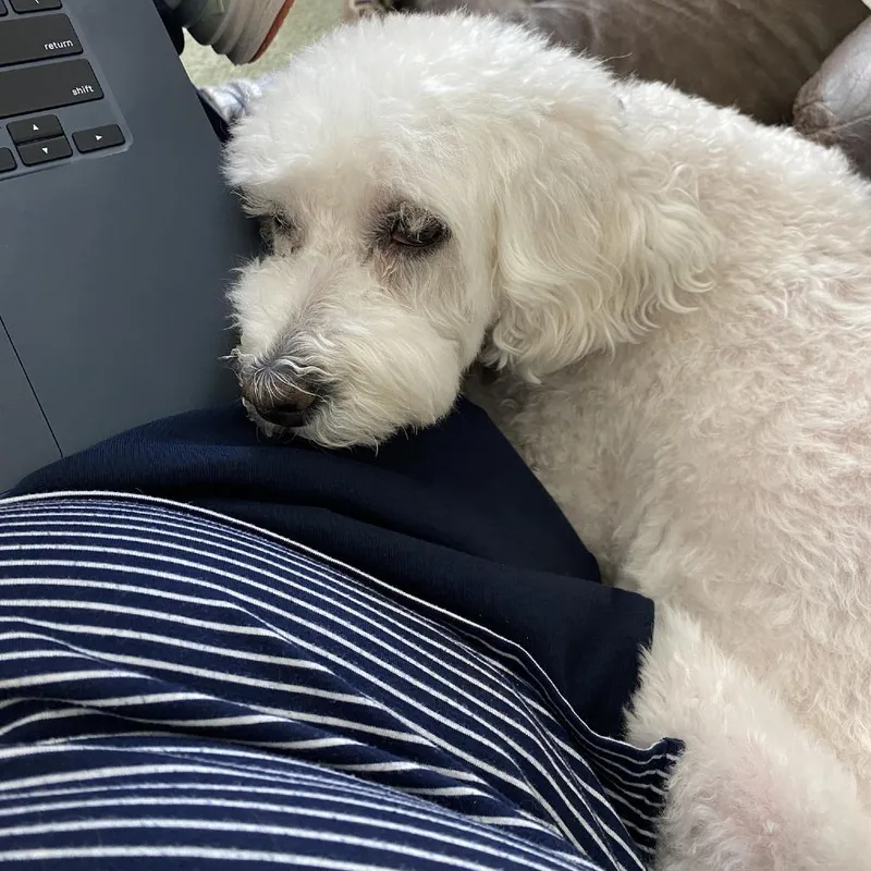 Chiquita thumbnail 5