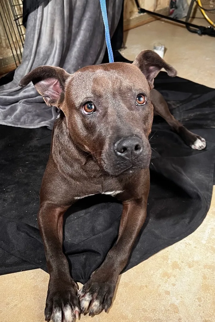 Liza Jane thumbnail 2