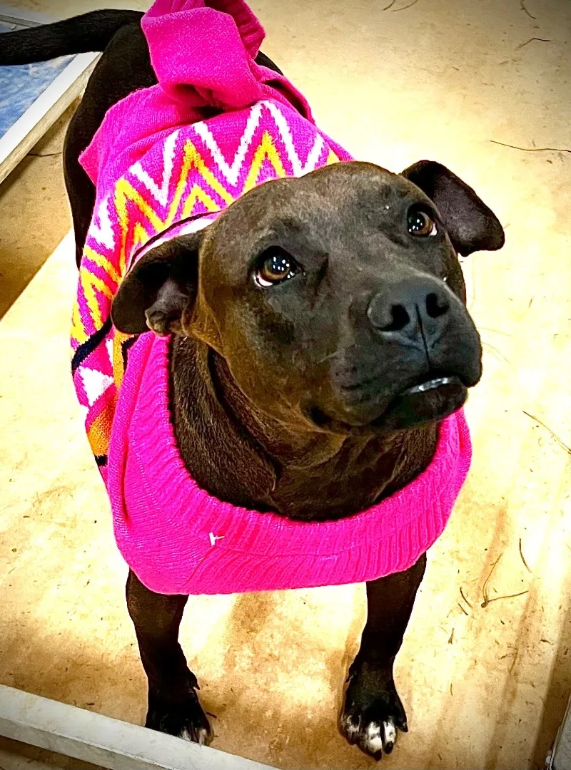 Liza Jane thumbnail 4