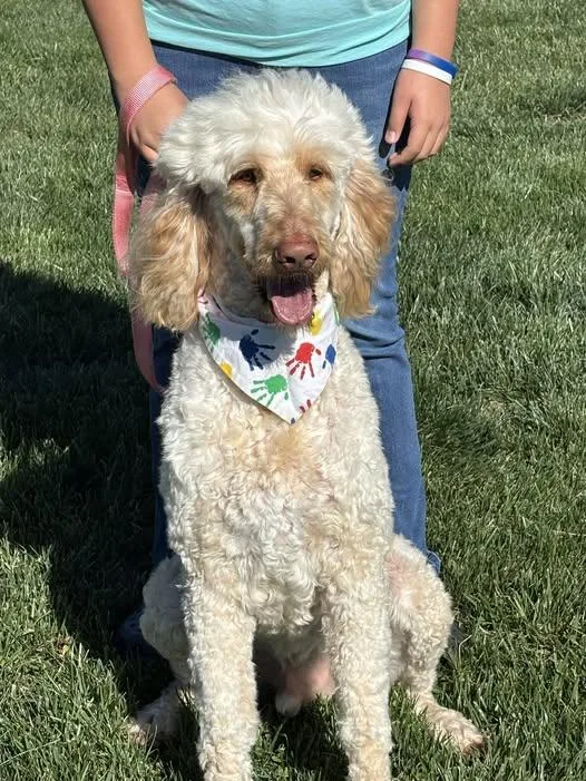 Arlo