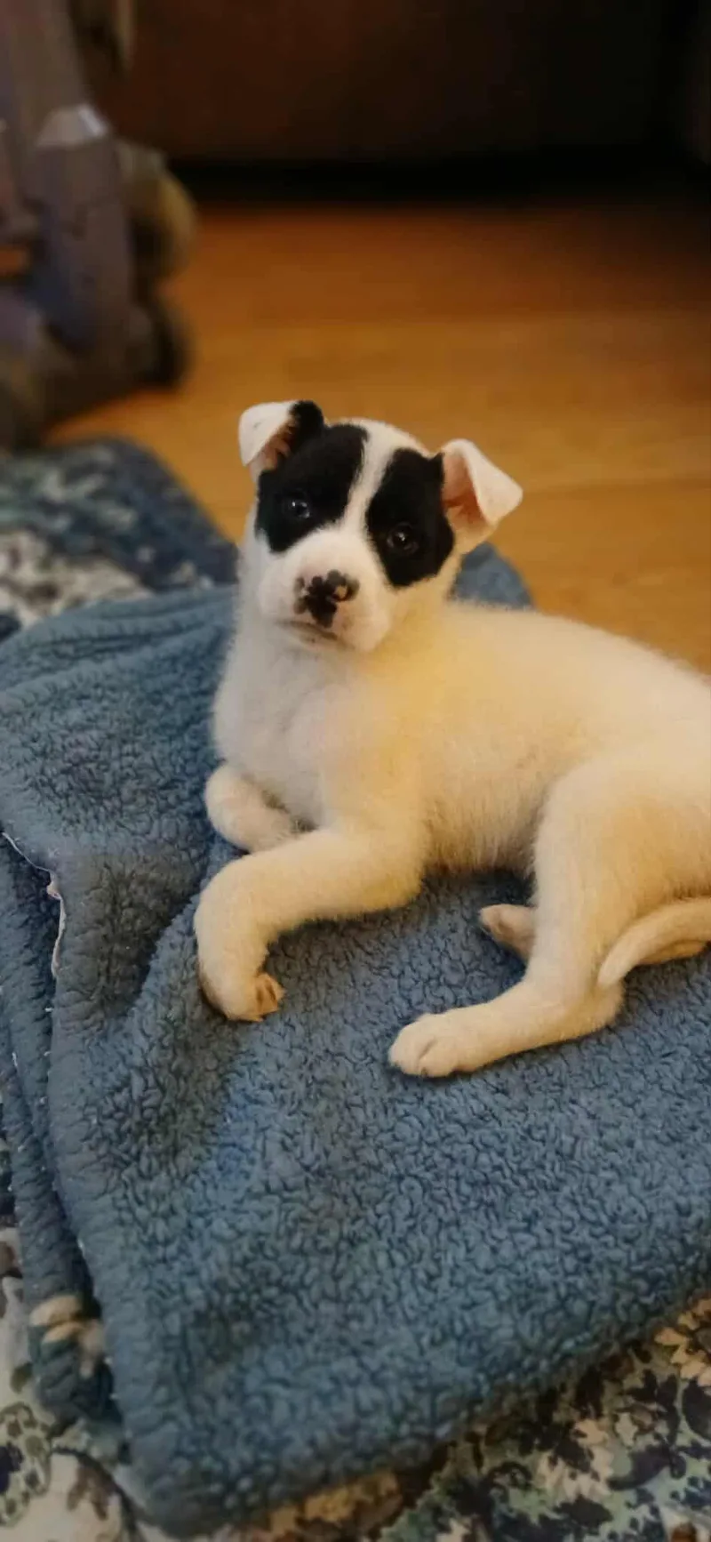 Queen Of Hearts thumbnail 5