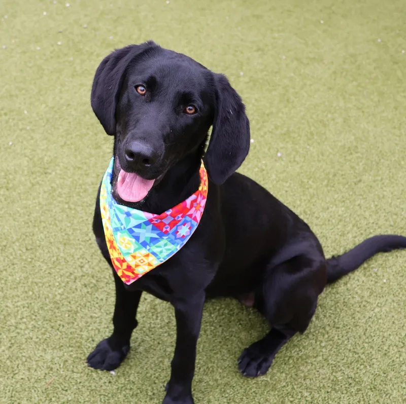 Gurrl Athens thumbnail 2