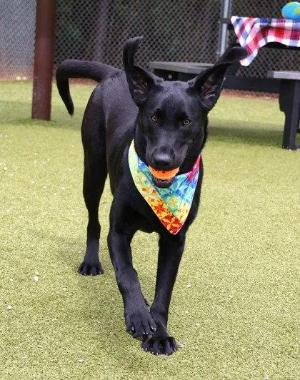 Gurrl Athens thumbnail 3