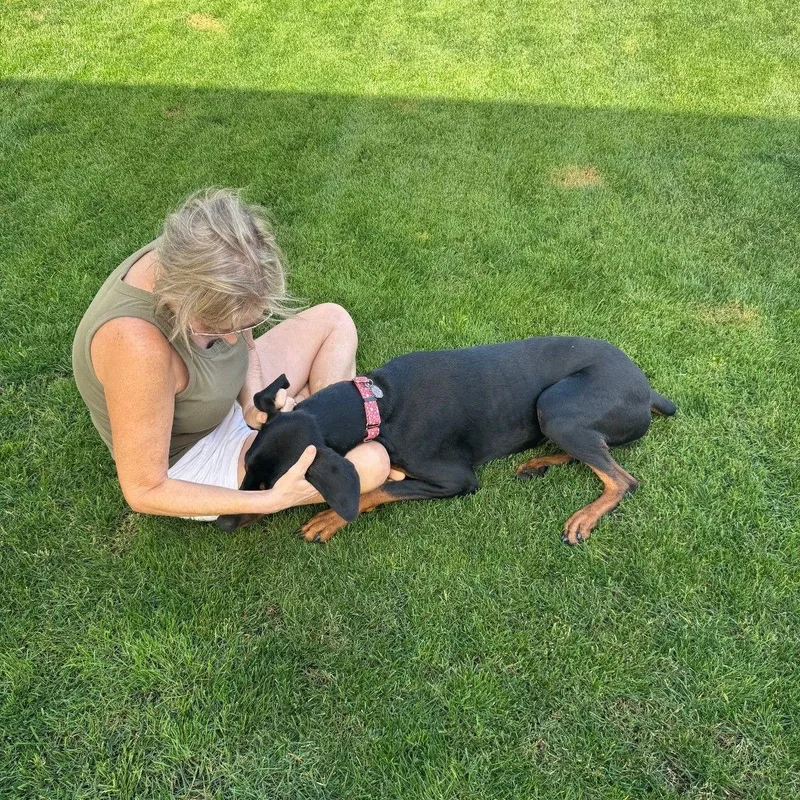 Luna Miel thumbnail 3