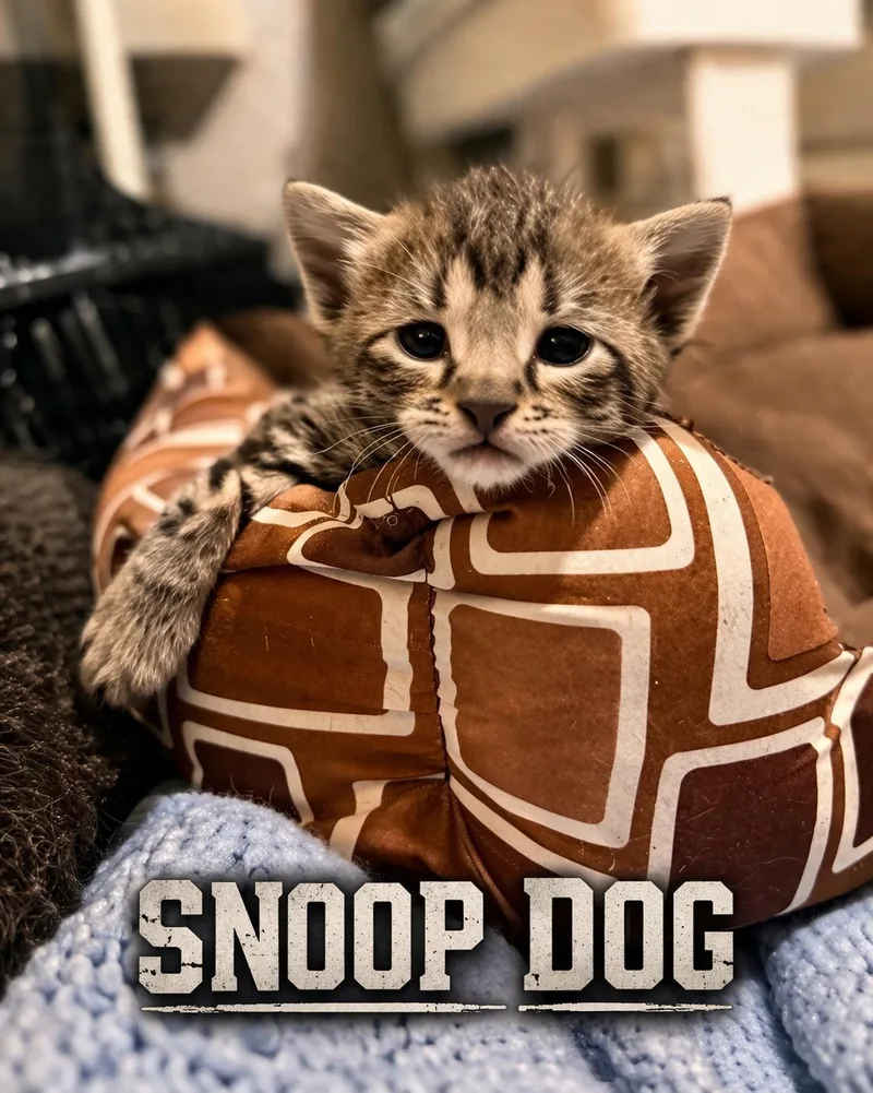 Snoop Dog