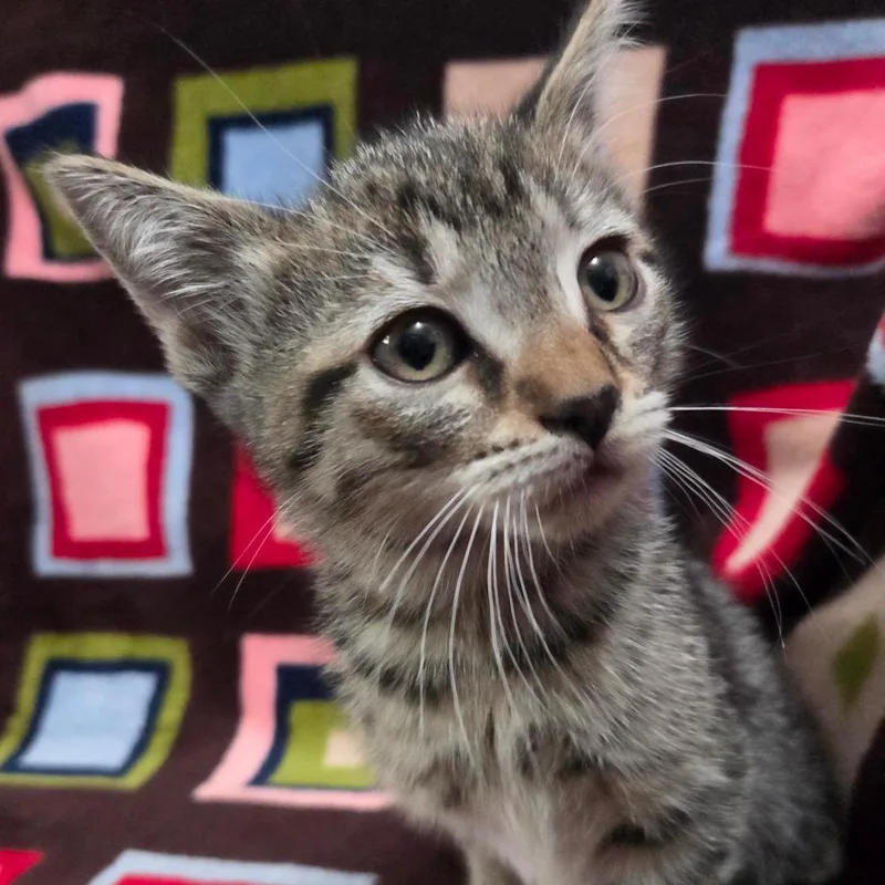 Iron Man thumbnail 2