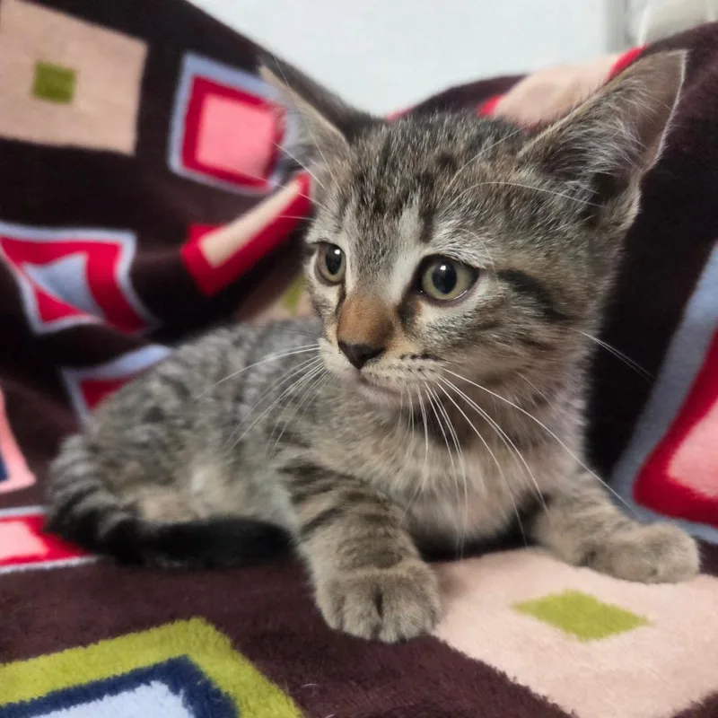 Iron Man thumbnail 3