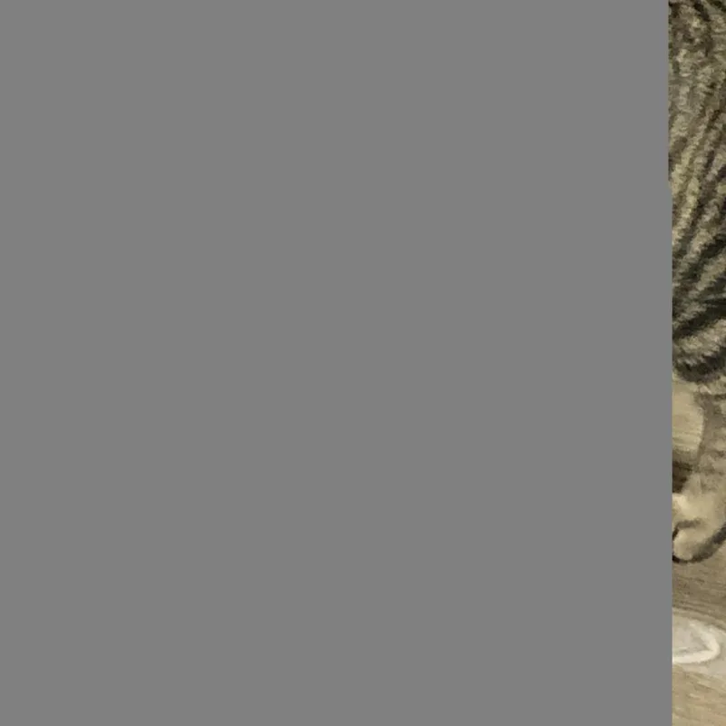 Hickory Crosby thumbnail 5