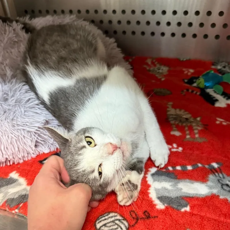 Minnie Mae thumbnail 3