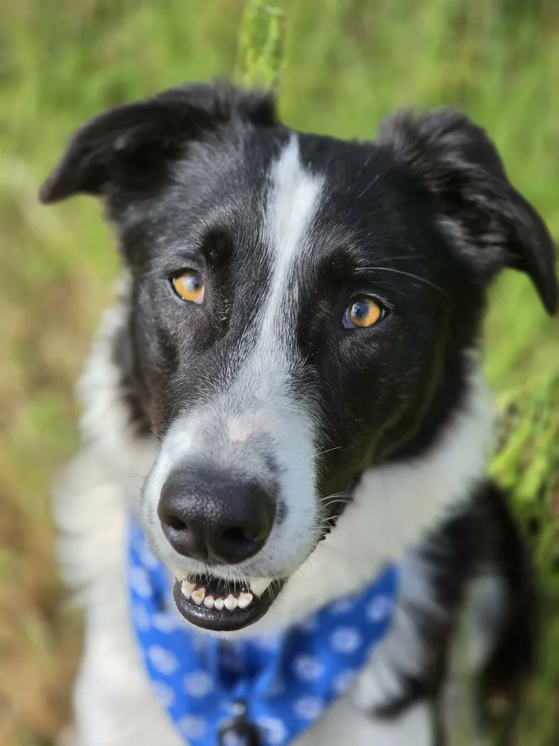 Cooper thumbnail 6