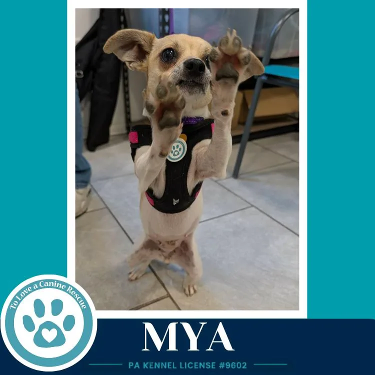 Mya thumbnail 2