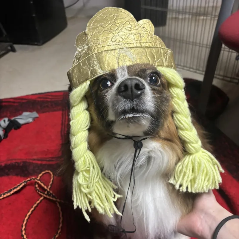 Dorothy Emerald thumbnail 3