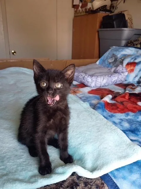 Jinxy thumbnail 2