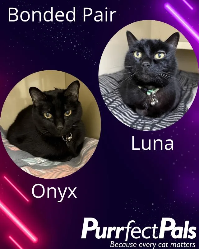Onyx