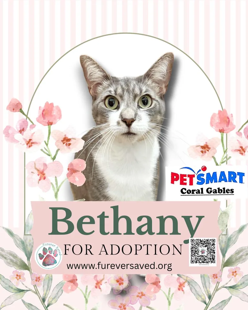 Bethany thumbnail 2