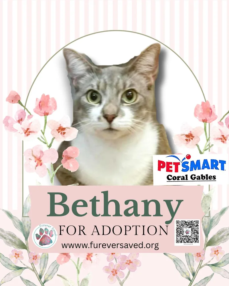 Bethany thumbnail 3