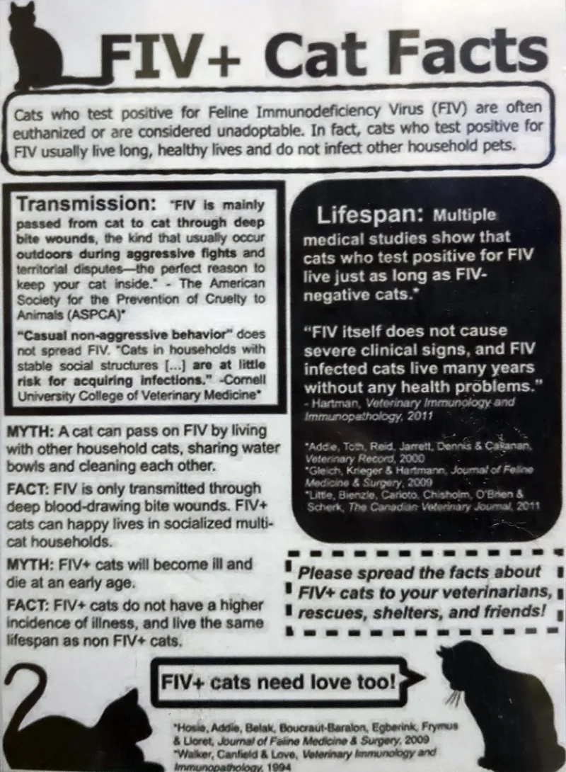 Midnight thumbnail 2