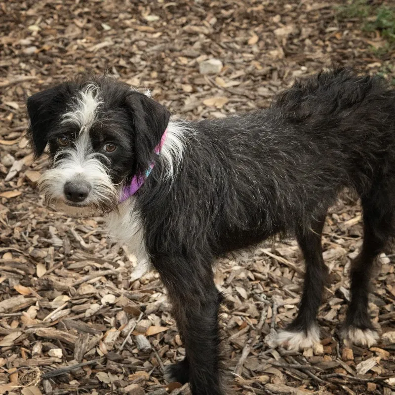 Kenan thumbnail 6