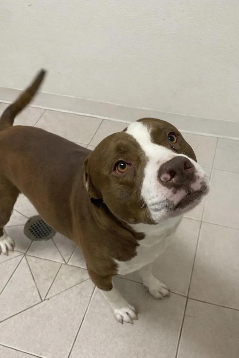 Grover Gci Trained Graduate!! thumbnail 2