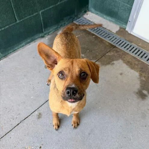 Jimothan thumbnail 2