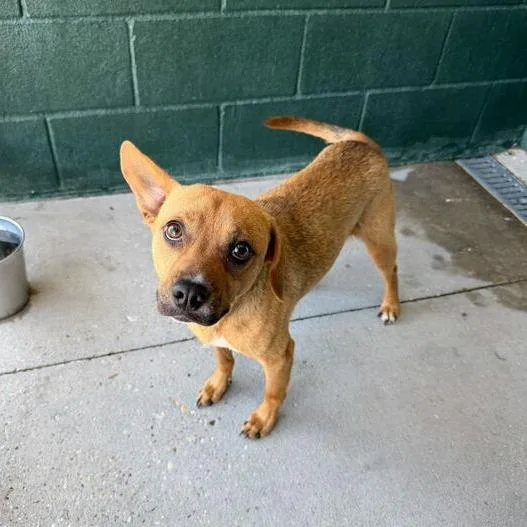 Jimothan thumbnail 3