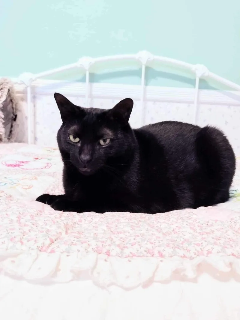 Jeremy And Trixie thumbnail 2