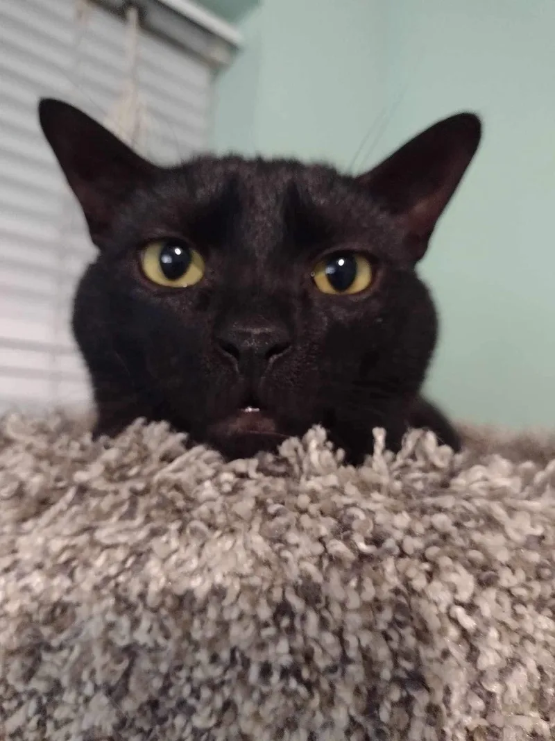 Jeremy And Trixie thumbnail 3