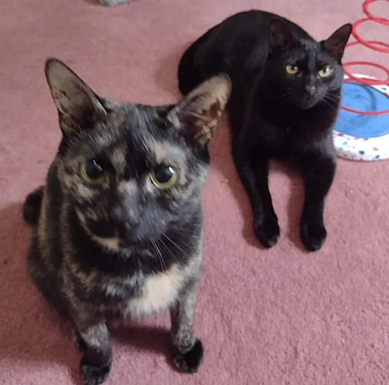 Jeremy And Trixie thumbnail 4