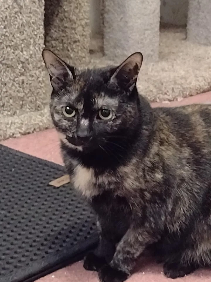 Jeremy And Trixie thumbnail 5