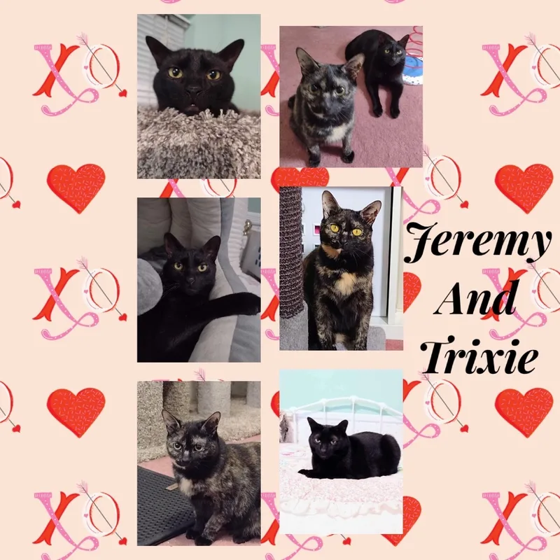 Jeremy And Trixie thumbnail 6