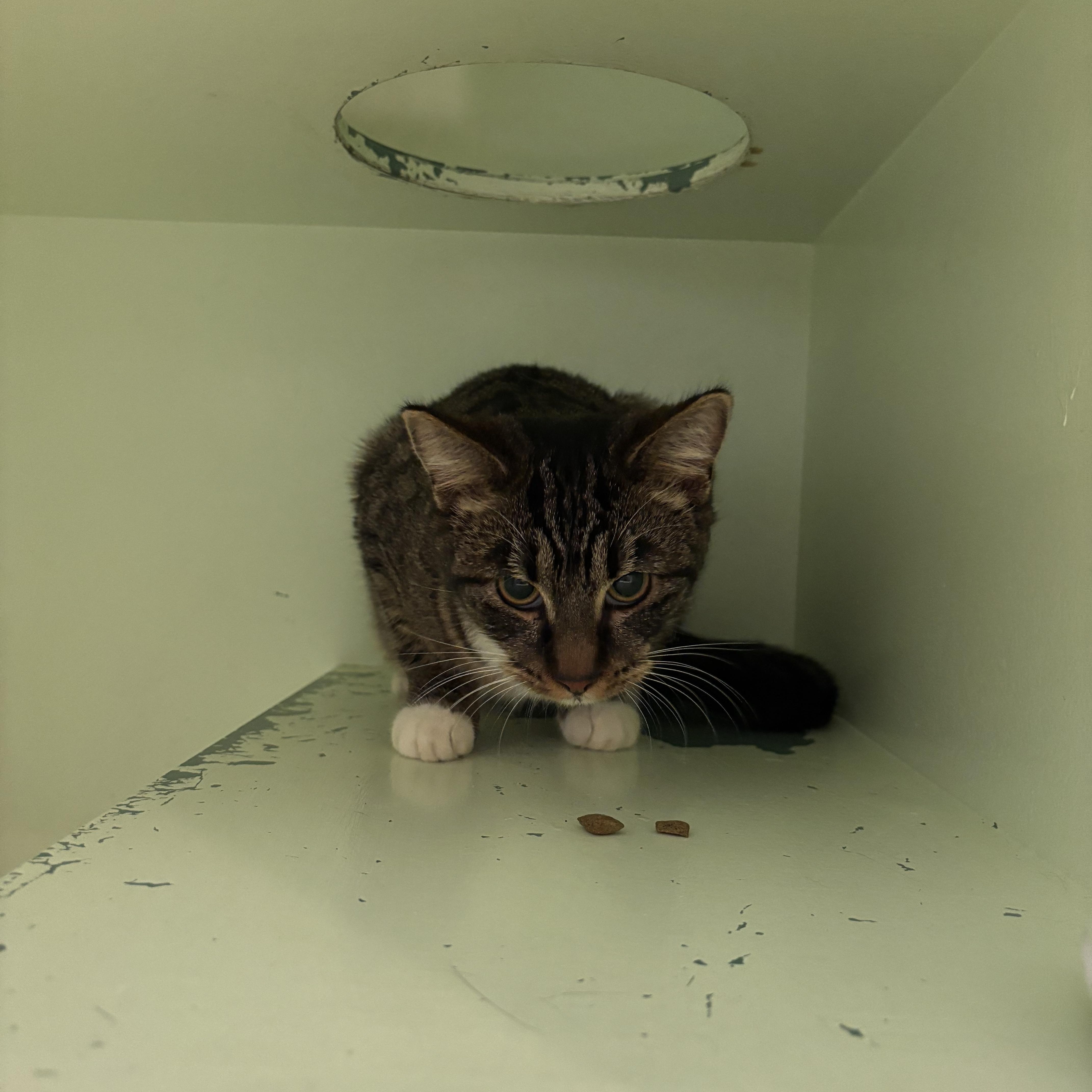 Whispers thumbnail 2