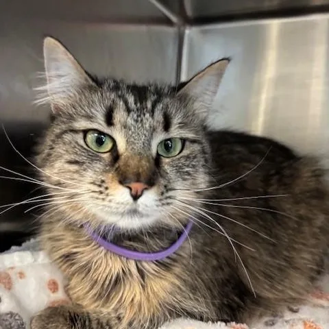 Margie  Draft thumbnail 4