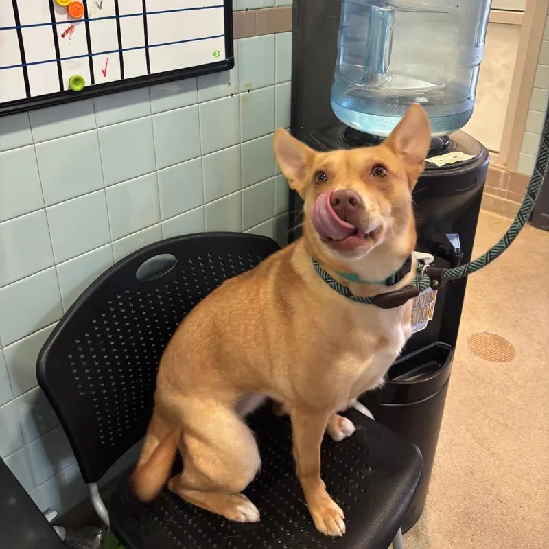 Caroline thumbnail 2