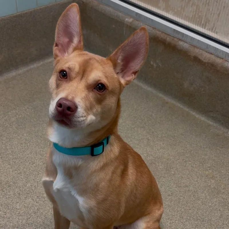 Caroline thumbnail 3