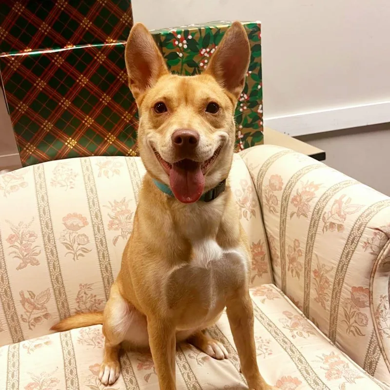 Caroline thumbnail 4