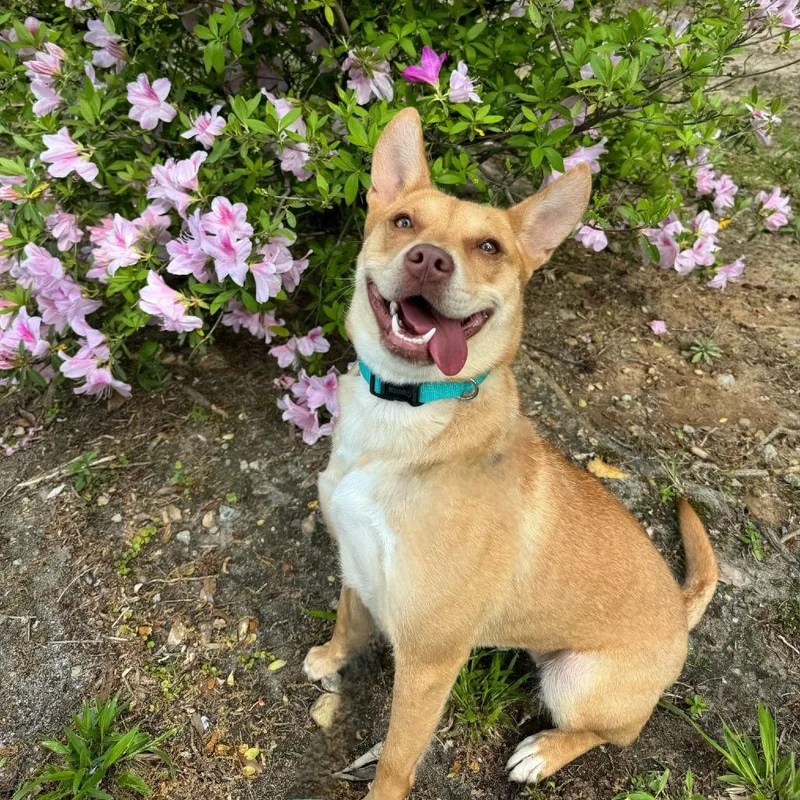 Caroline thumbnail 5