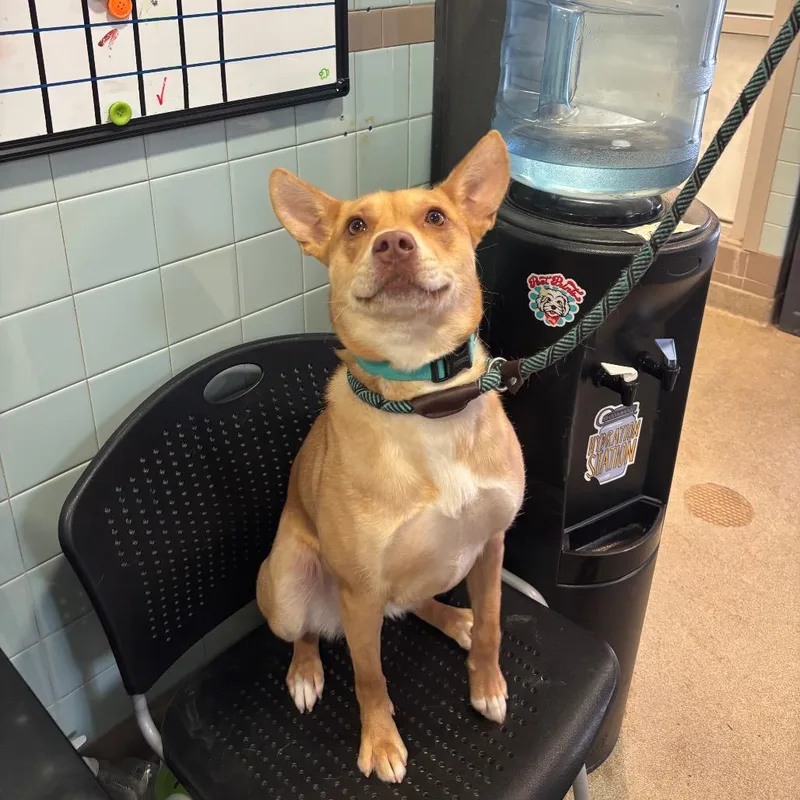 Caroline thumbnail 6