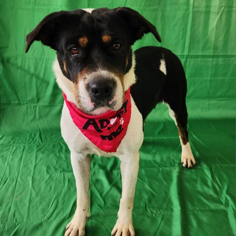 Miss Bea Jumhs thumbnail 3