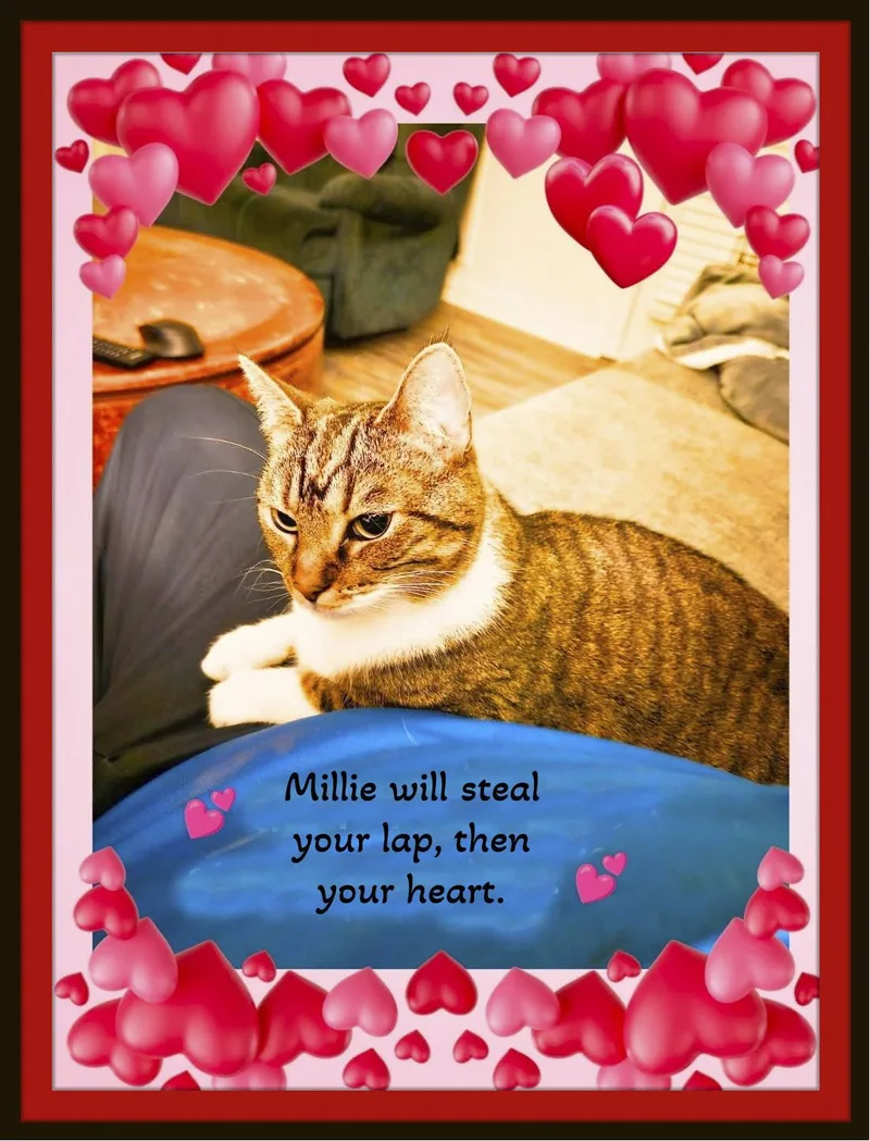 Millie  Love looks thumbnail 2
