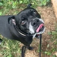 Mercedes thumbnail 2