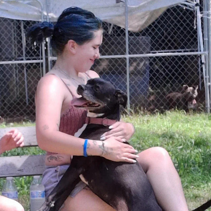 Mercedes thumbnail 3