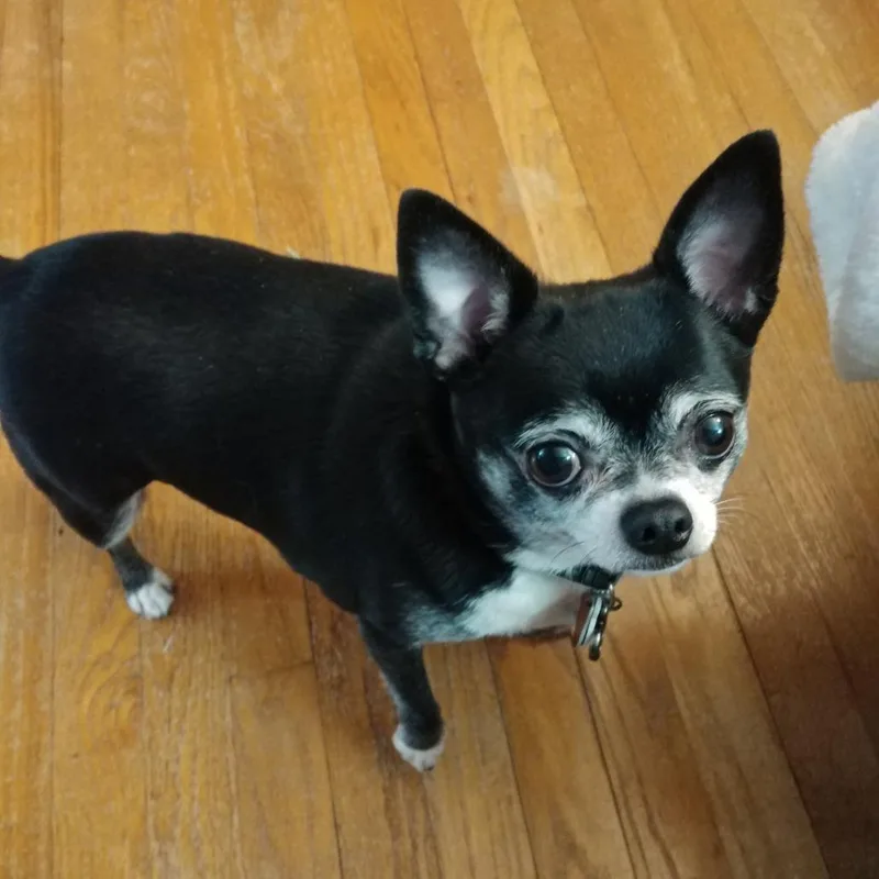 Samuel thumbnail 3