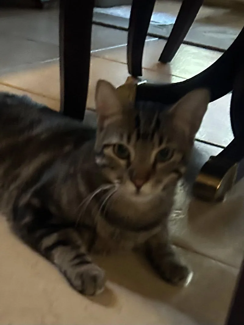 Storm Cloud thumbnail 2