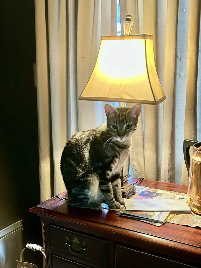 Storm Cloud thumbnail 3