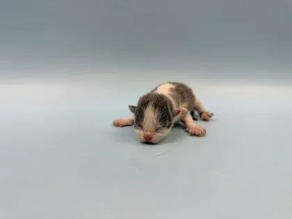 Cloudy thumbnail 2