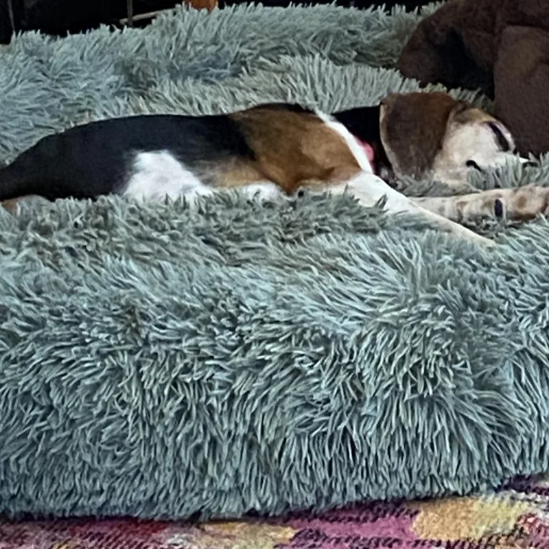 Jenny