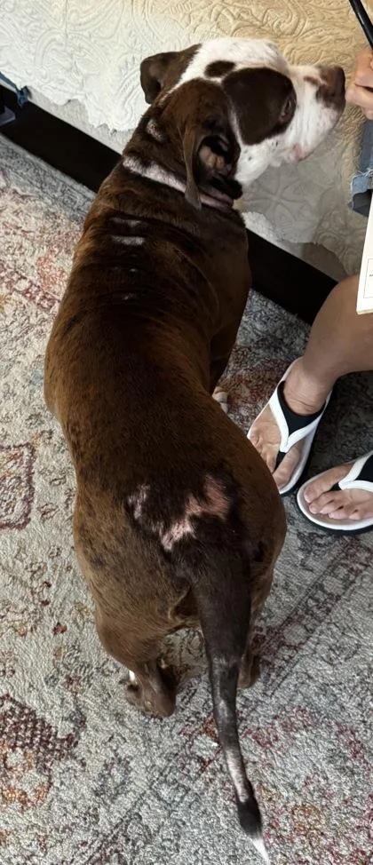 Coco