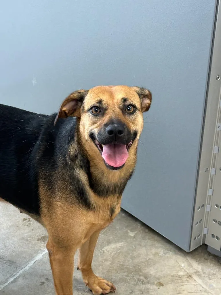 Little Girl thumbnail 2