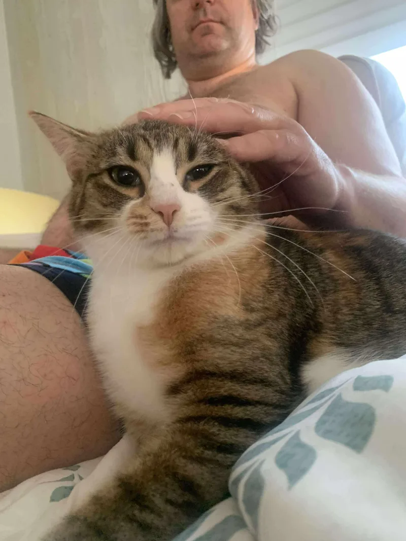 Lavern And Shirley thumbnail 2