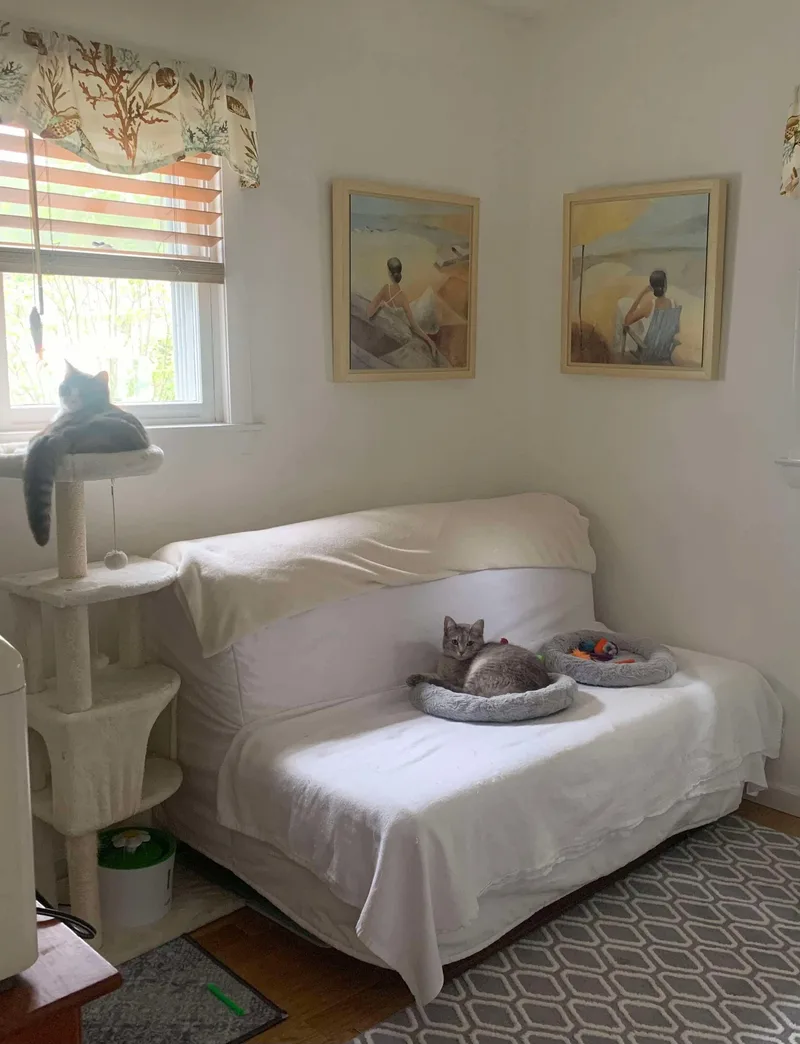 Lavern And Shirley thumbnail 5